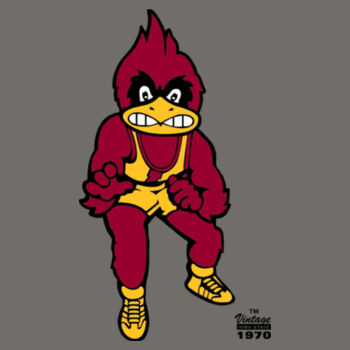 Vintage Wrestling Cy Design