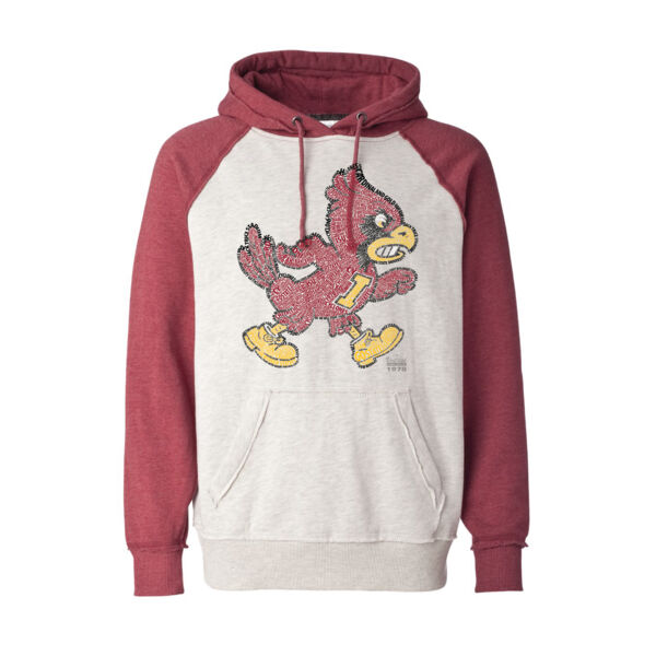 CLOSING OUT! Walking Cy Words Hoodie Thumbnail