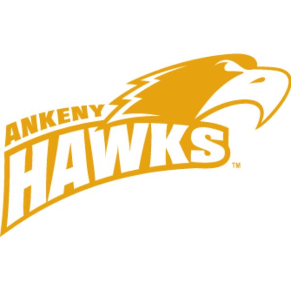 hawkshop ankeny hawks head gold Thumbnail