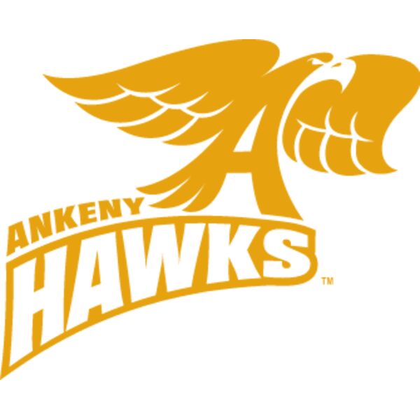 hawkshop vintage ankeny hawk gold Thumbnail