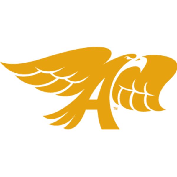 hawkshop vintage hawk gold Thumbnail