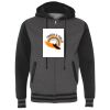Heavyweight Varsity Full-Zip Hooded Sweatshirt Thumbnail