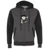 Heavyweight Varsity Full-Zip Hooded Sweatshirt Thumbnail