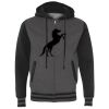 Heavyweight Varsity Full-Zip Hooded Sweatshirt Thumbnail