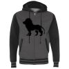 Heavyweight Varsity Full-Zip Hooded Sweatshirt Thumbnail