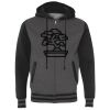 Heavyweight Varsity Full-Zip Hooded Sweatshirt Thumbnail
