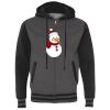 Heavyweight Varsity Full-Zip Hooded Sweatshirt Thumbnail