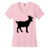 Women's Perfect Weight ® V Neck Tee Thumbnail