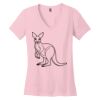Women's Perfect Weight ® V Neck Tee Thumbnail