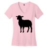 Women's Perfect Weight ® V Neck Tee Thumbnail