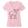 Women's Perfect Weight ® V Neck Tee Thumbnail